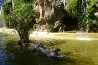 P1030556_28Copiar29.JPG