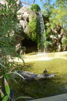 P1030557_28Copiar29.JPG