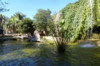 P1030559_28Copiar29.JPG