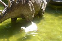 P1030565_28Copiar29.JPG